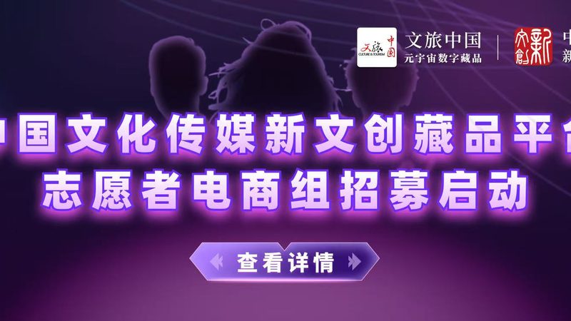 纪录片拍摄团队服务流程全解析**